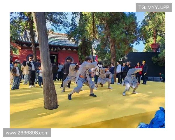 在少林寺修行中的冥想体悟与自我认知提升之旅